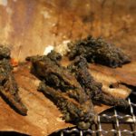別具特色的植炭慢火料理 - 30 別具特色的植炭慢火料理 - 30