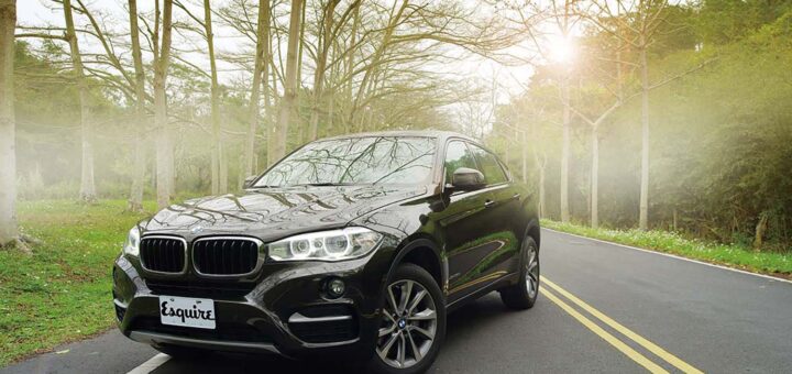 一輛車兩樣情</BR>BMW X6 30d - 9